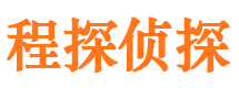 嘉陵市侦探公司